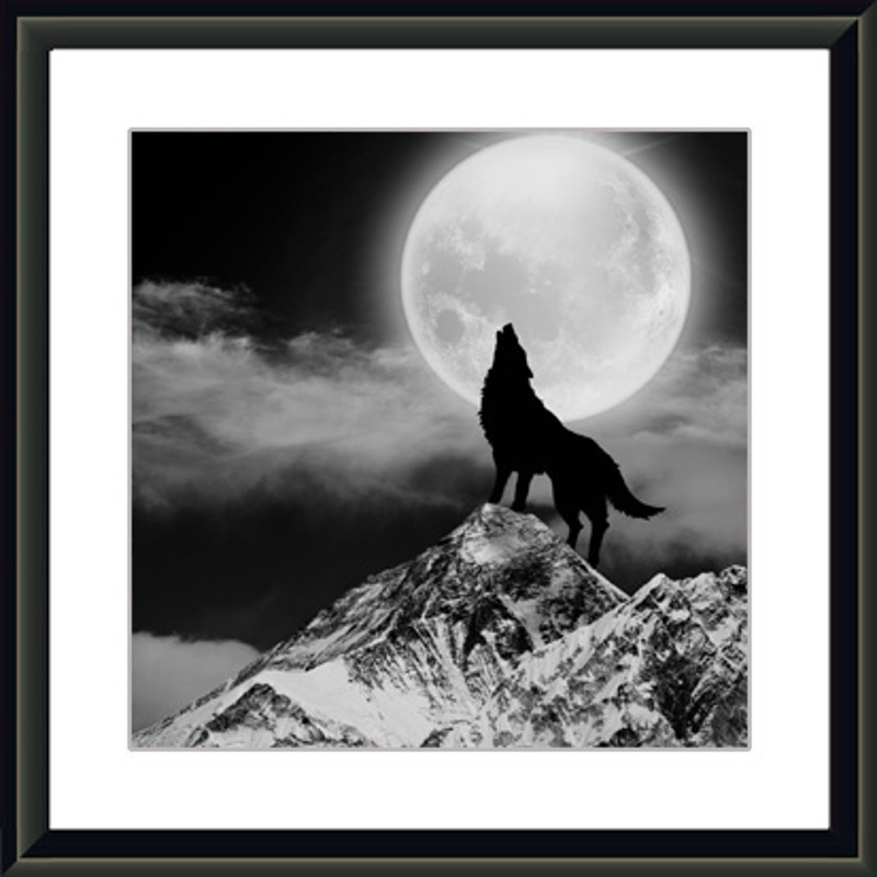 唯美为家有框画办公室挂画狼图片个性家居装饰画企业狼性团队文化