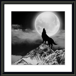 唯美为家有框画办公室挂画狼图片个性家居装饰画企业狼性团队文化