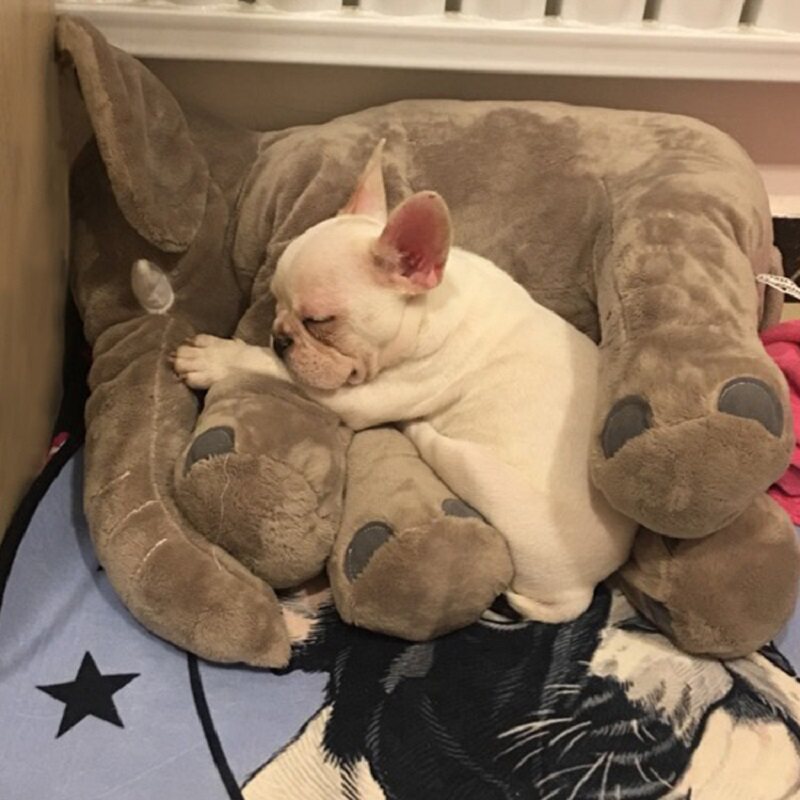 公狗性发泄玩具法斗柯基泰迪狗狗巴哥比熊陪睡伴侣宠物用品发情期