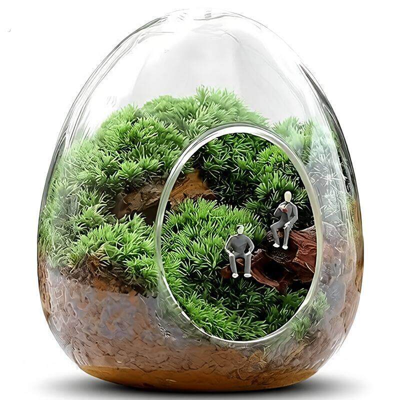 苔藓微景观盆栽生态瓶奇趣创意种好植物小盆景办公室桌面好养绿植