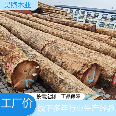 户外大口径防腐原木花旗松铁杉