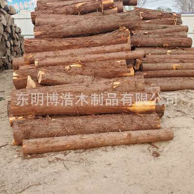 东明桐木原木直拼指接大班用