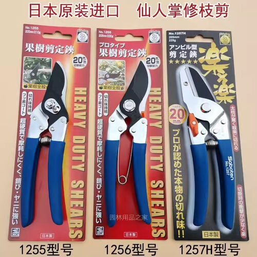 仙人掌修枝剪果树修枝剪刀树枝剪刀家用花艺花剪桑剪日本原装进口