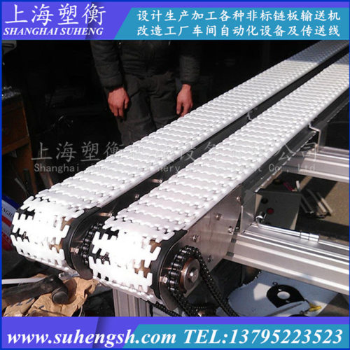 双排齿形链板直行分流输送机