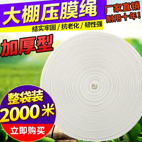 大棚压膜绳抗老化绳子压膜带塑料大棚专用压膜线养殖大棚配件扁带