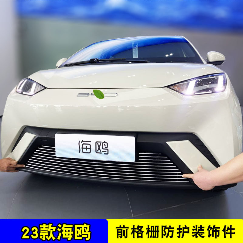 23款比亚迪海鸥中网改装饰条 前脸保险杠汽车用品防虫网配件亮条