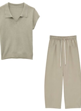 【爆米花专享】韩版时尚气质翻领冰丝针织短袖加裤子套装1120