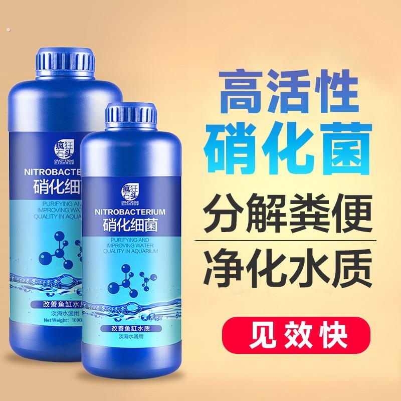 疯狂石头通用净水硝化细菌水浑浊消化菌通用用净化水质硝化活菌液