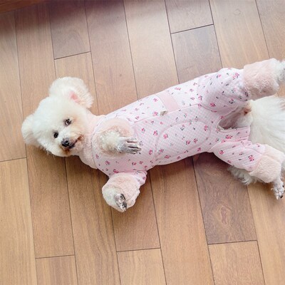 潮查利家泰迪比熊贵宾中小犬猫咪宠物狗加厚保暖包肚棉衣牵引冬装
