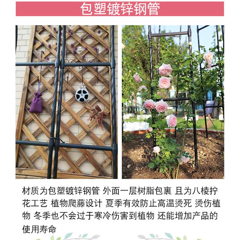 欧式拱门花架园艺拱形花支架爬藤架庭院花园门口支架走廊花支架