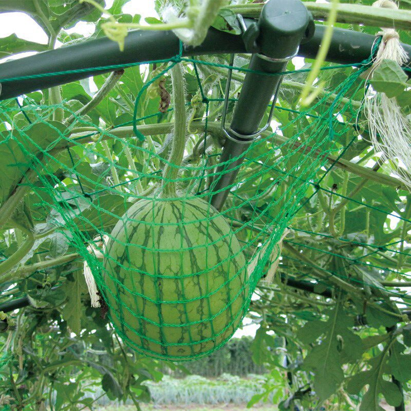 葡萄架花架园艺支架爬藤植物藤架黄瓜丝瓜百香果攀爬菜园种植架子