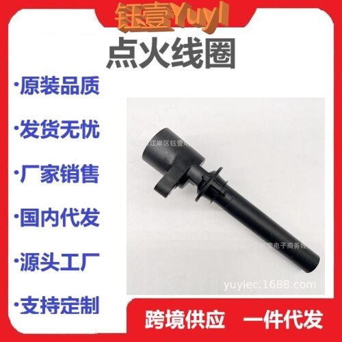 跨境点火线圈DG513 8M2E-12A366-AA 2M2Z-12029-AC 8M2E12A366AA