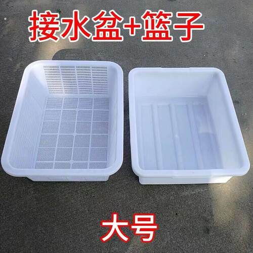 乌龟饲养盆粪便分离双层隔离发色盒生态养殖育苗箱懒人一秒换水缸
