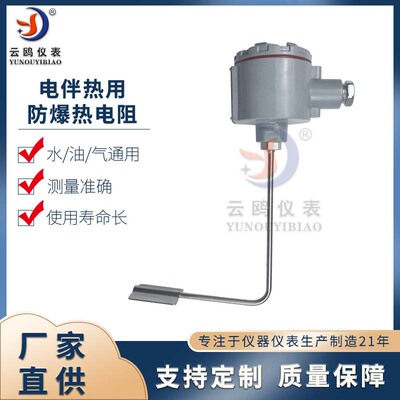 电伴热带用防爆热电阻WZPKT-146PT100管壁式铂热电阻表面贴片式