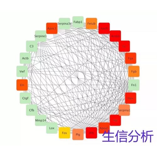 生信分析单细胞联合转录组数据分析网络药理学分析
