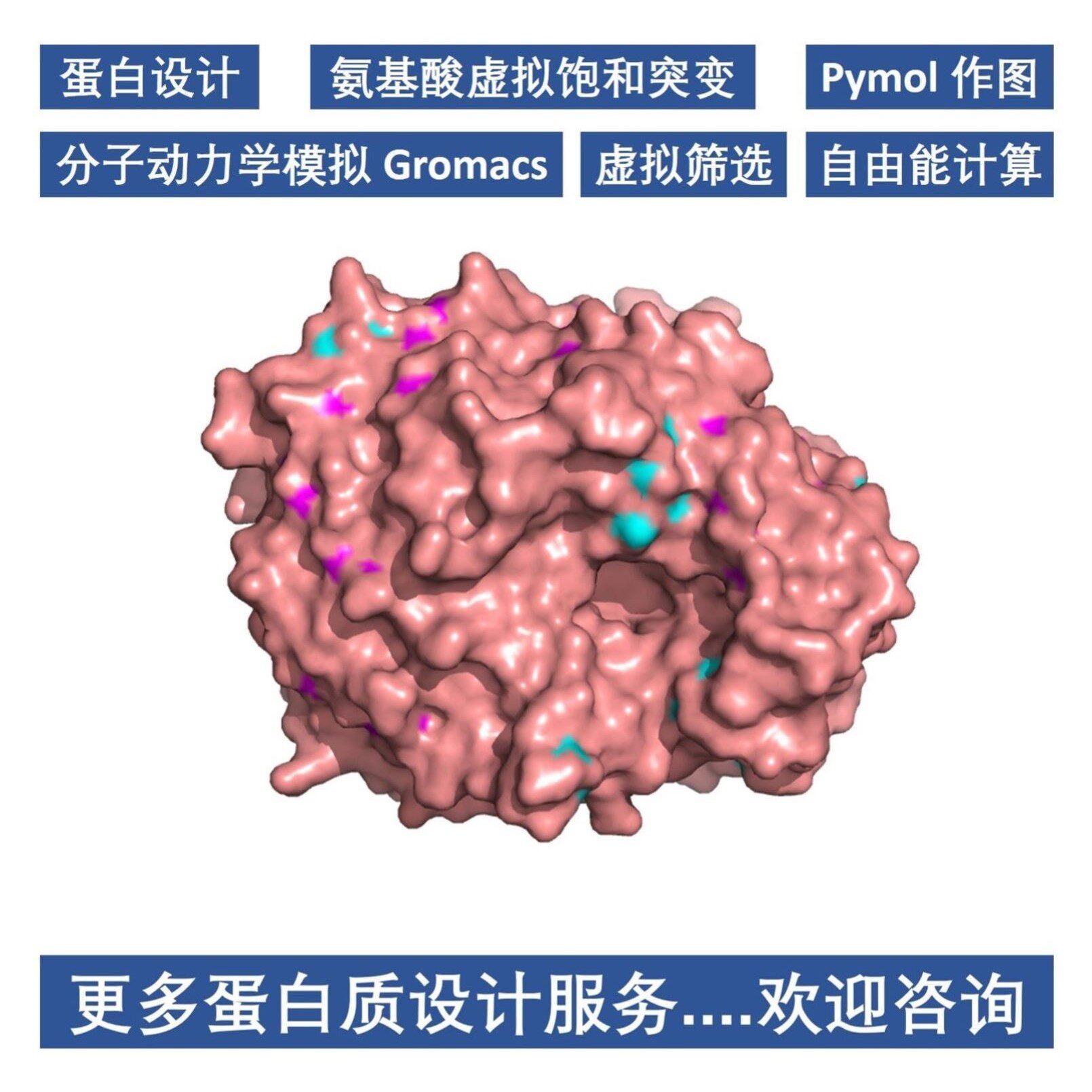 蛋白质3D结构预测AlphaFold2&Rosetta&同源建模Model突变结构优化