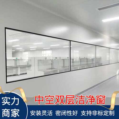 固定玻璃窗净化车间观察窗实验室视窗钢化泄压门窗隔音窗户洁净