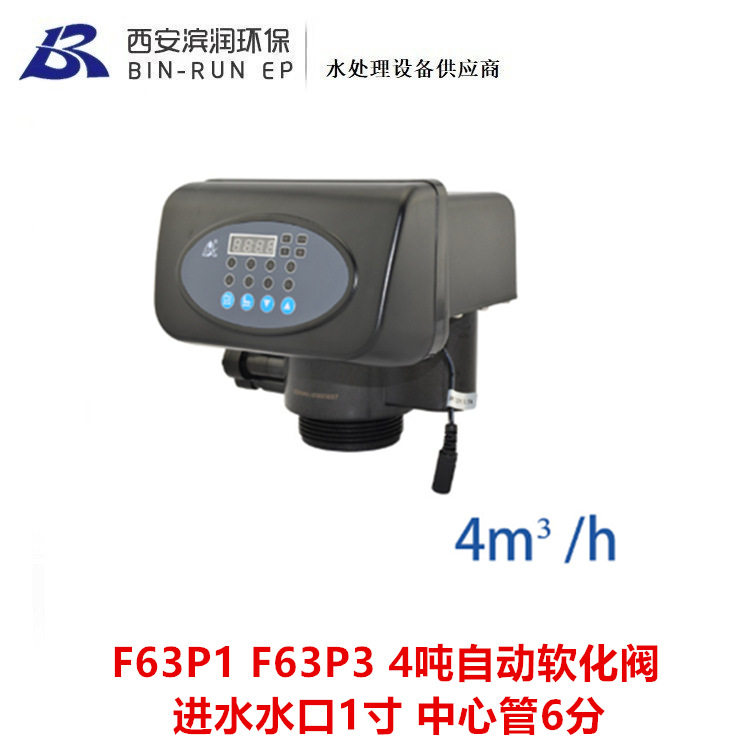 F63P1 F63P3 润新4吨自动软化阀可带旁通 进出水1寸 中心管6分图片