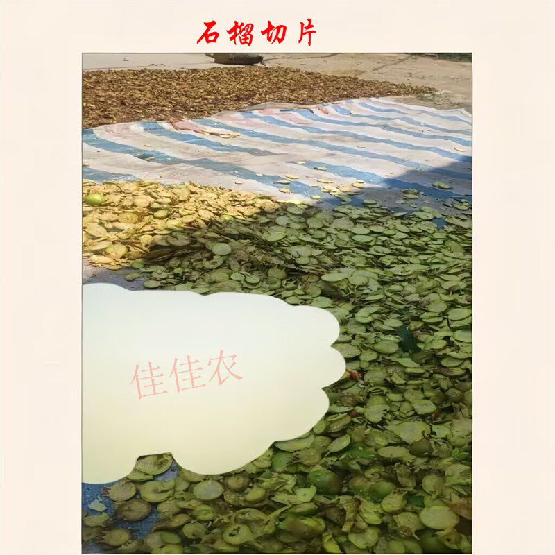 电动切片机切生姜洋姜南姜黄姜石榴何首乌切片机家用220V刨片机