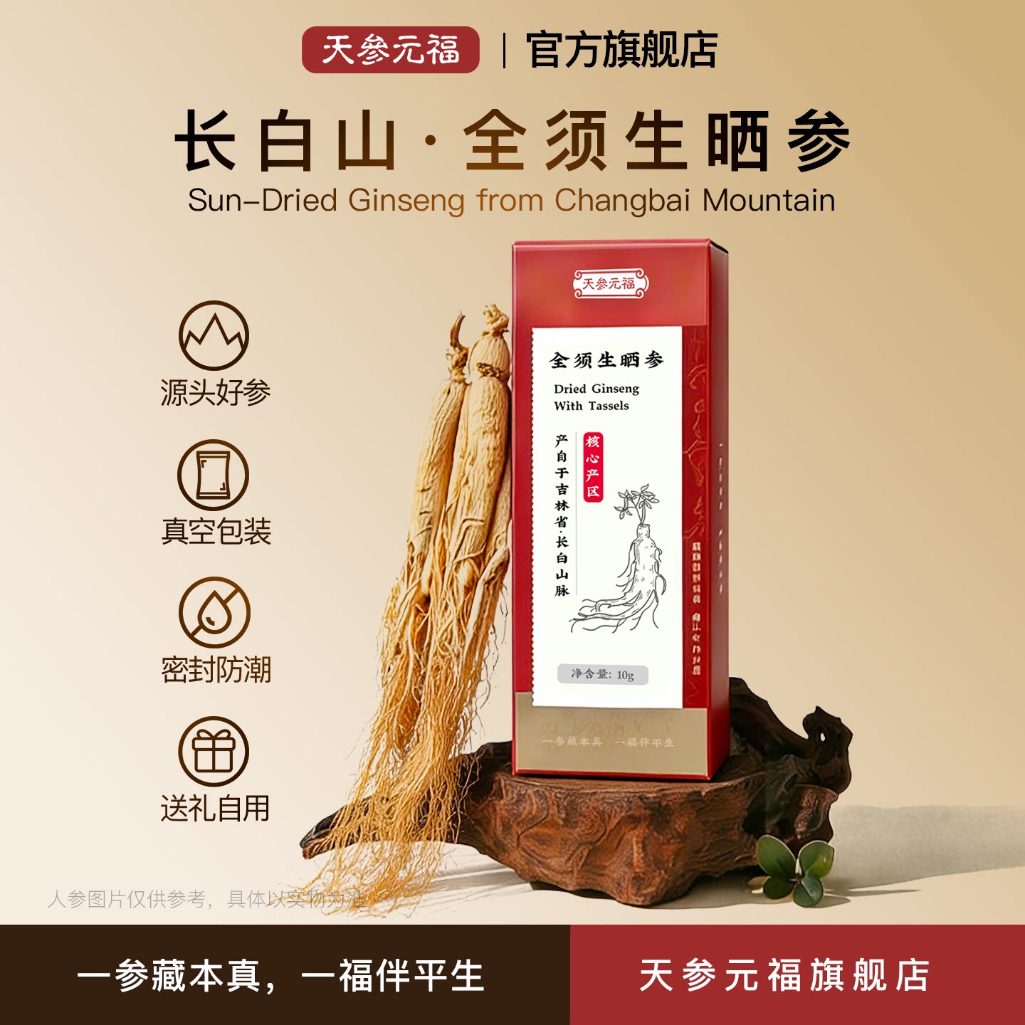 长白山正品全须生晒参无硫足干人参整支10g装煲汤泡酒滋补送长辈