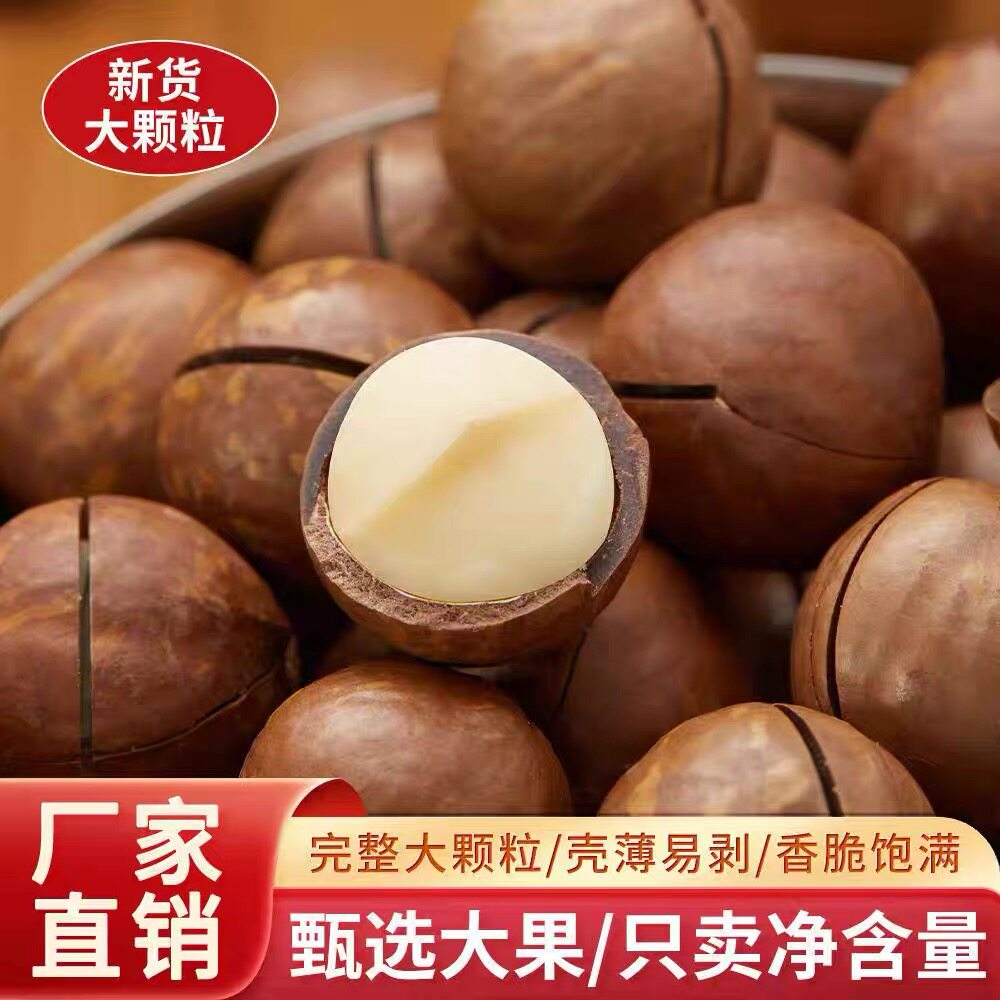 【特惠抢购】精选夏威夷果当季鲜采坚果炒货健康食品休闲零食R