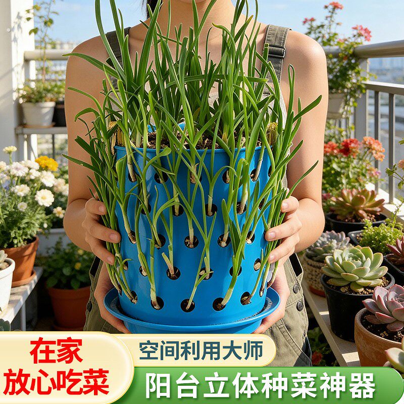 阳台种菜盆香菜韭菜塑料筐种葱种蒜蔬菜专用神器镂空篓家用种植盆