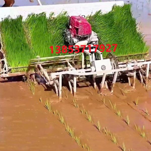 新种地大播机播种器插秧机水稻农用直插全自动神器型秧水稻种农