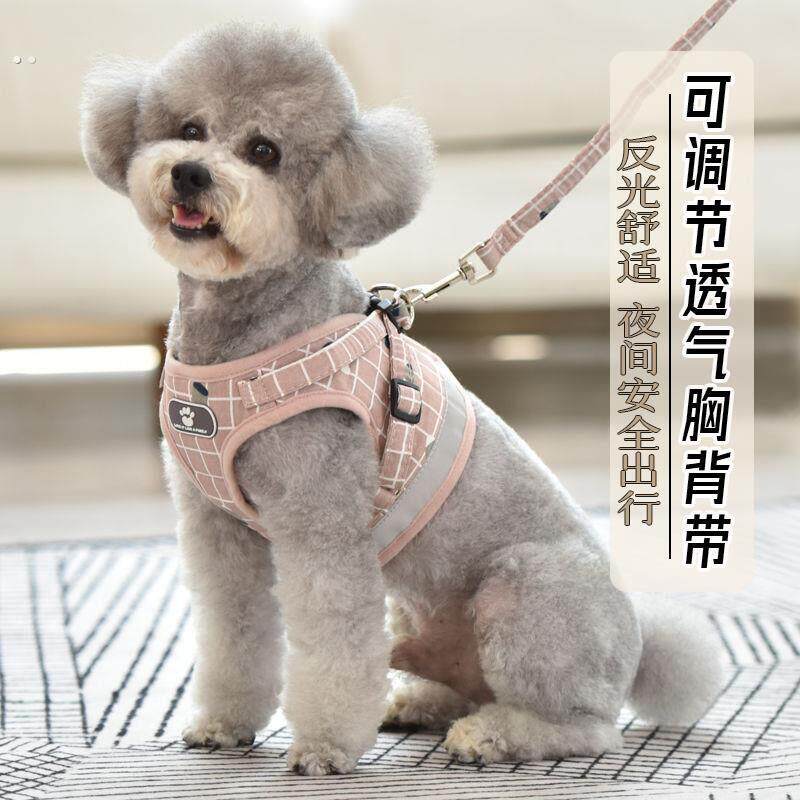 巨型贵宾犬巨贵犬专用牵引绳狗狗胸背带泰迪脖圈狗链子遛狗用品