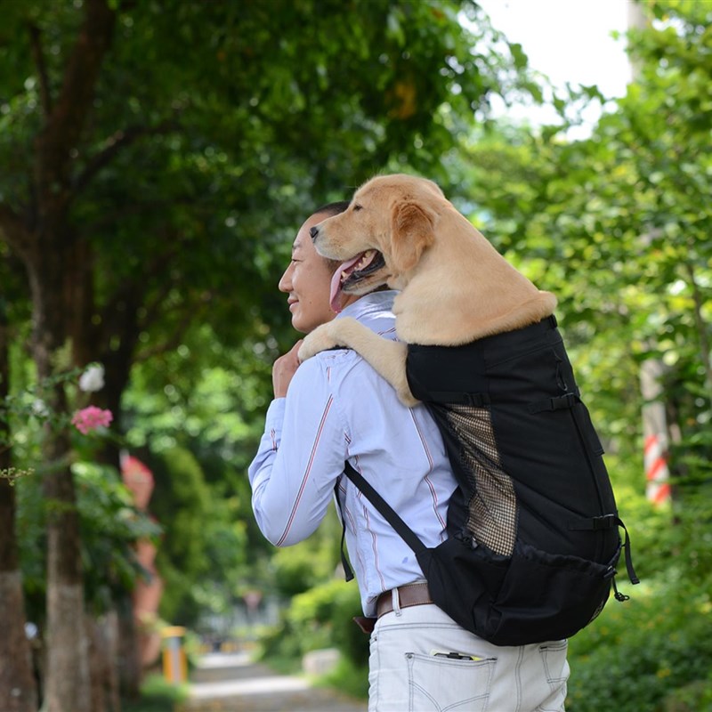 柯基外出双肩包宠物胸前背包法斗柴犬狗狗便捷包巴哥犬泰迪旅行包