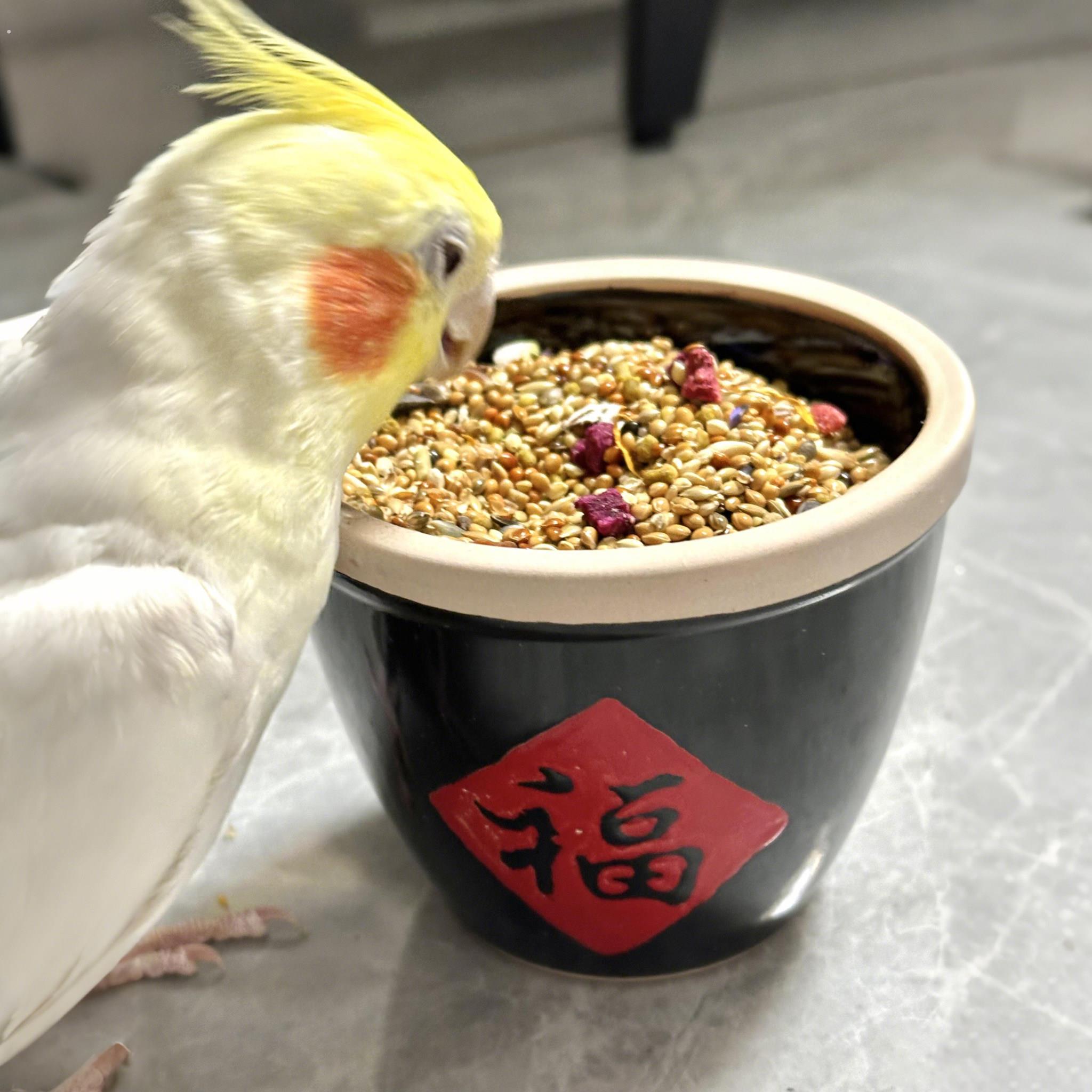 鹦鹉食盒陶瓷小鸟食盆牡丹仓鼠小宠喂食器鸟笼福字缸造景装饰米缸