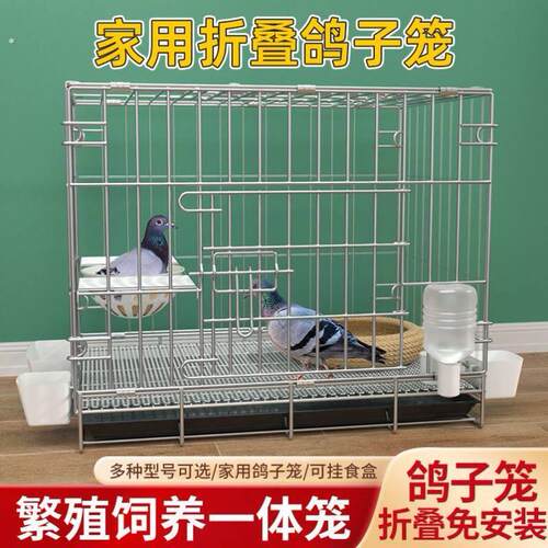 鸽子笼家用养鸽子专用笼繁殖笼养殖笼配对大号鸽舍鸽子笼子鸽子窝