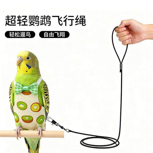 鹦鹉牵引绳屎兜放飞绳超轻小鸟牵引绳挂扣不伤脚虎皮牡丹玄凤专用