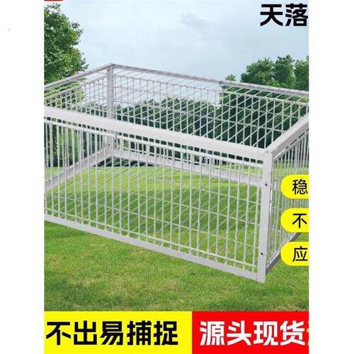 捕鸽子地拍网天落笼鸽子笼加厚加密自动收鸽子神器活络门撞门户外
