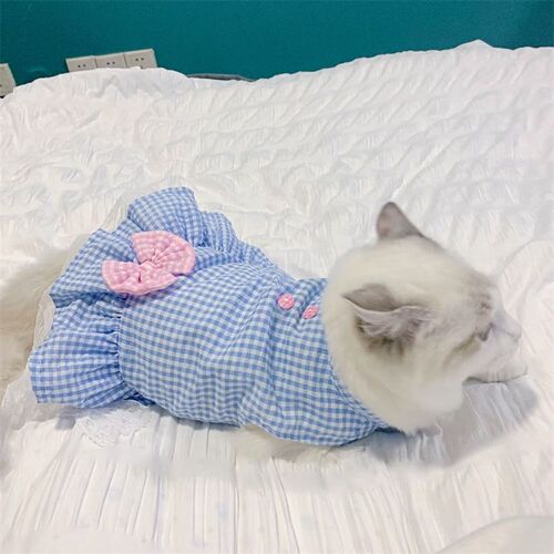 猫咪裙子衣服夏季薄款可爱公主裙布偶英短蓝猫宠物狗狗透气防掉毛