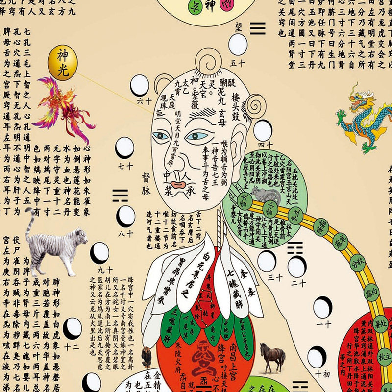 黄帝内外修真火候图高清书房玄关挂画客厅装饰字画道家卷轴丝绸画