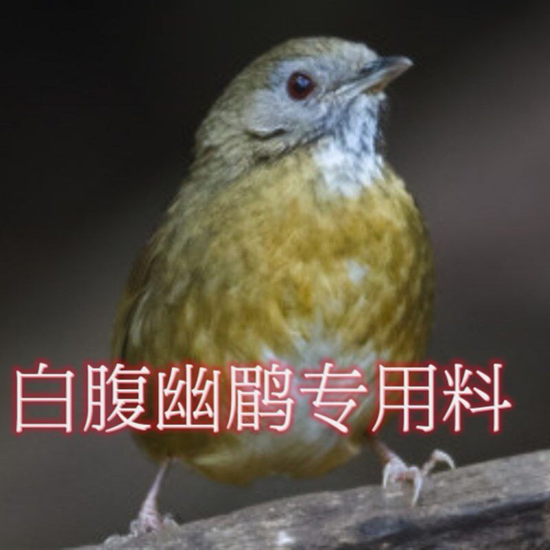 白腹幽鹛鸟食鸟粮饲料增膘上性不暴毙吸收好不水便换毛无忧500克