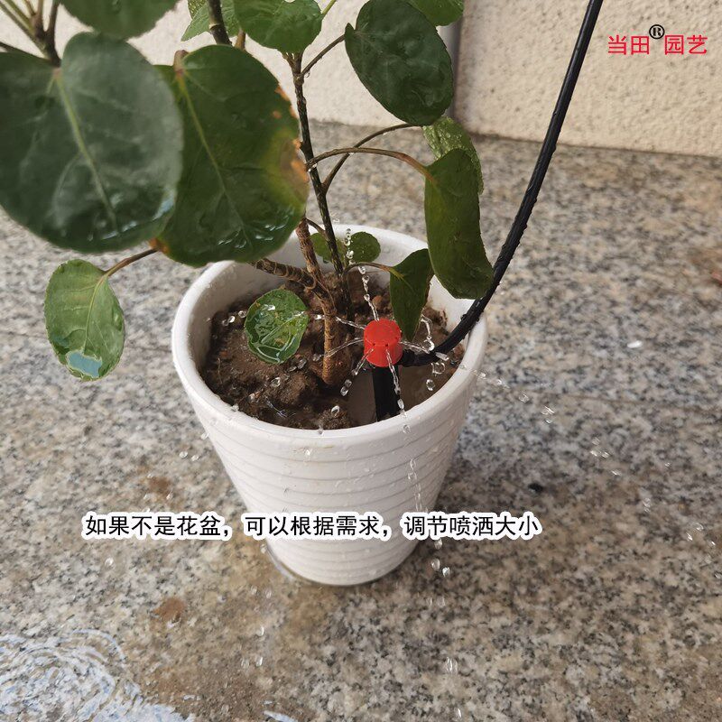 自动滴灌系统定时浇花器花盆微喷滴水盆栽地插喷头浇水电磁阀设备