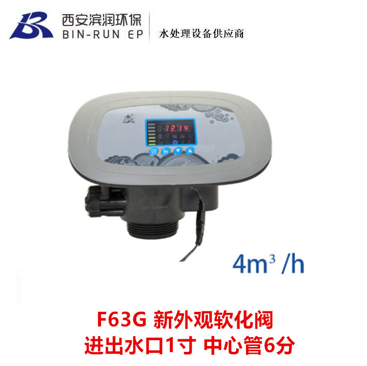 润新4吨自动软化阀 F63G1 F63G2 F63G3 进出水口1寸 中心管6分图片