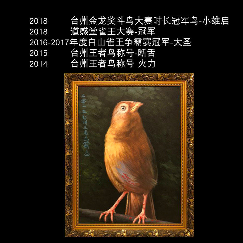 台州池兄 手工画眉鸟食饲料500g提性壮膘打鸟料斗鸟料打彩专用料