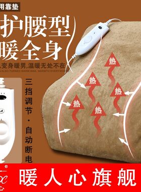 电热腰靠加热靠垫记忆靠枕冬季保暖电热靠背办公室腰枕加长加大