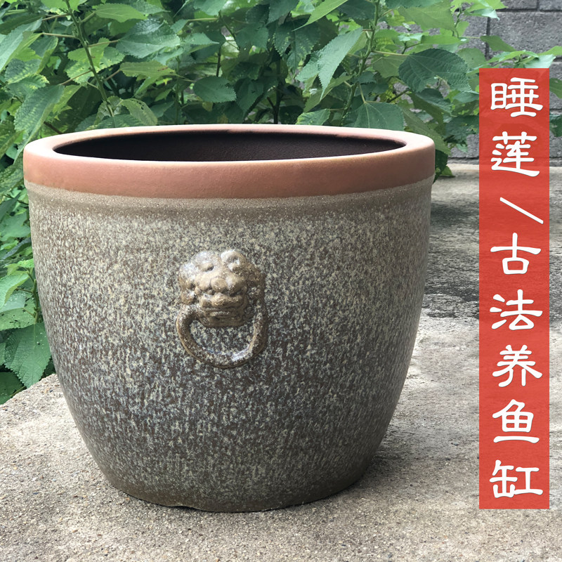 无孔睡莲盆紫砂古法养鱼缸碗莲铜钱草水养植物盆庭院阳台鱼缸