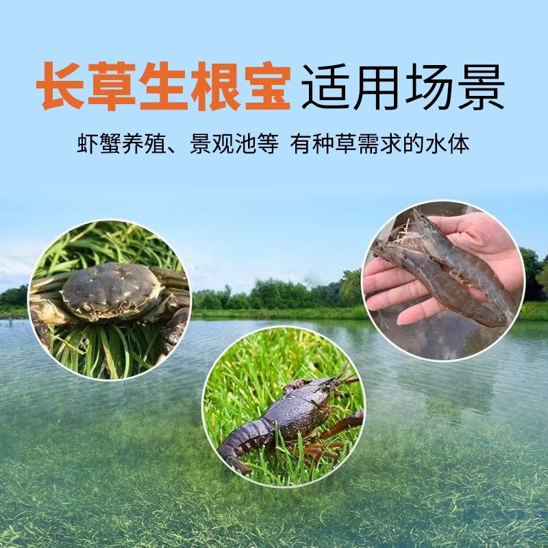 小龙虾河蟹养殖水草肥料生根长叶宝虾蟹长根粒粒肥旺叶定固根水产