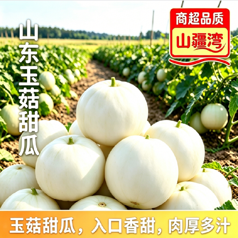 山疆湾超甜玉菇甜瓜4.5斤