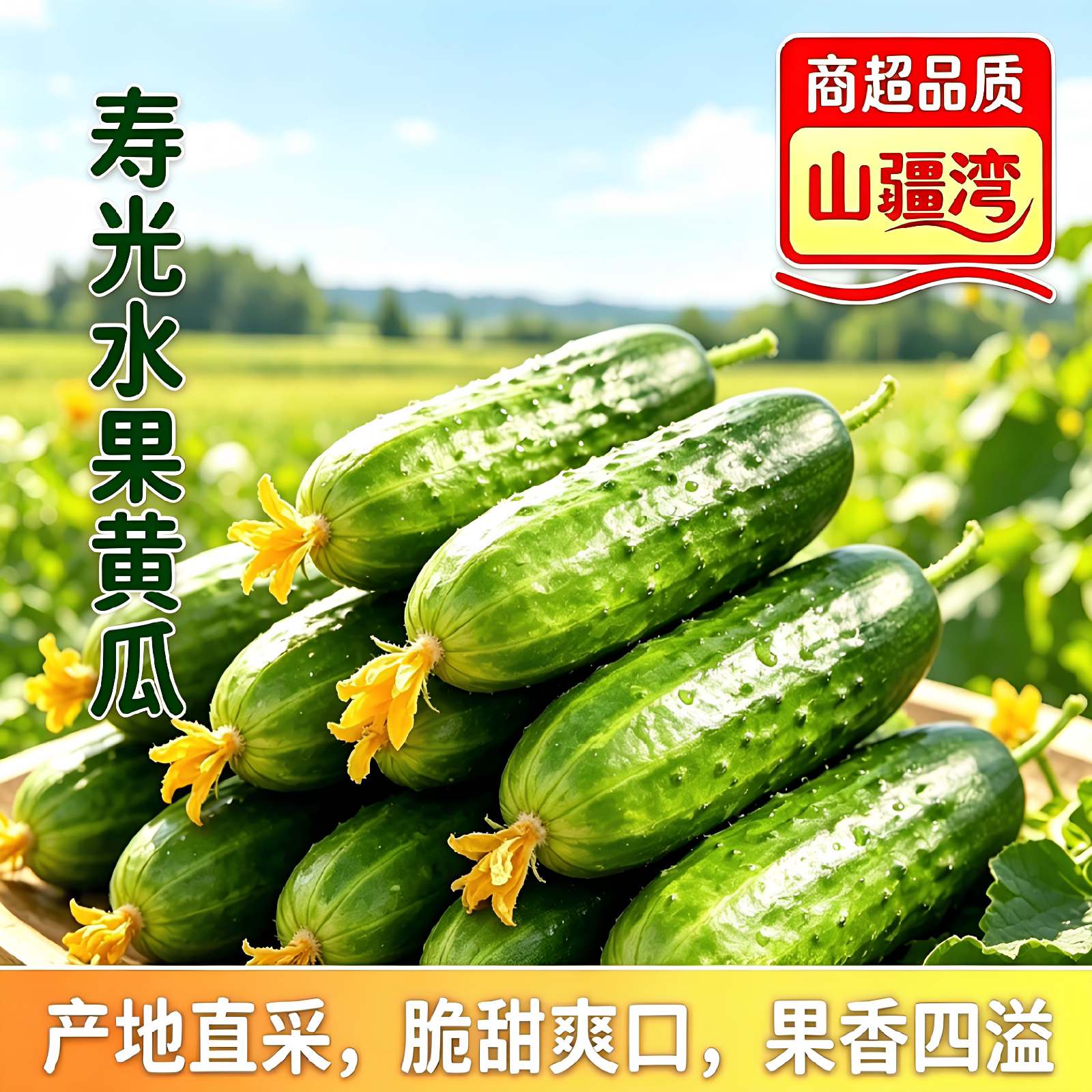 山疆湾产地直采山东寿光水果黄瓜5斤装直发商超品质直供新鲜水果