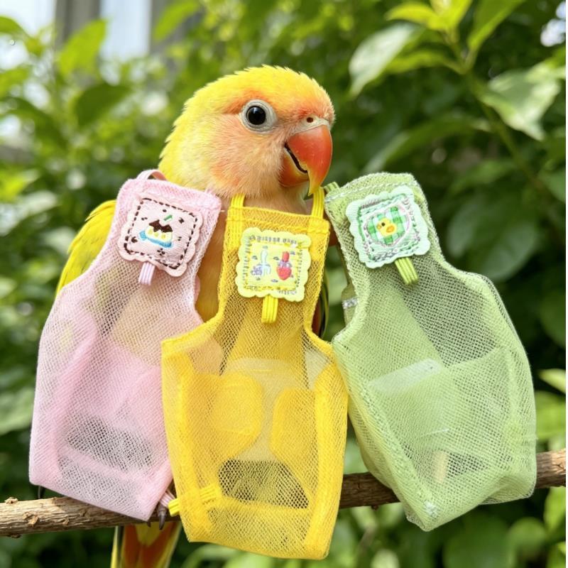 夏天透气鹦鹉尿不湿屎兜鹦鹉拉屎神器衣服外出屎兜垫片虎皮玄凤用