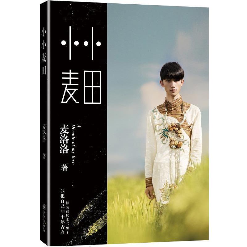 【全新正版】小小麦田 麦洛洛 著 九州出版社 9787510832208