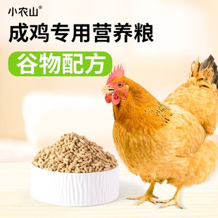 中大鸡饲料五谷杂粮芦花鸡产蛋下蛋颗粒鸡粮鸡食母鸡小鸡钓鱼打窝