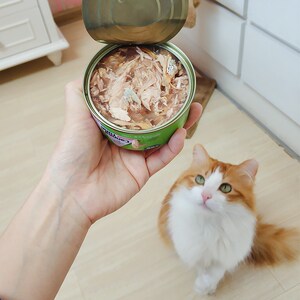 宝咖咖猫罐头猫咪营养增肥发腮主食零食整箱金枪鱼鸡肉汤罐湿粮