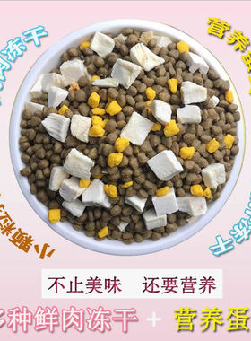 冻干狗粮灰泰迪专用狗粮灰色棕色泰迪黑色贵宾幼犬成犬去泪痕美毛