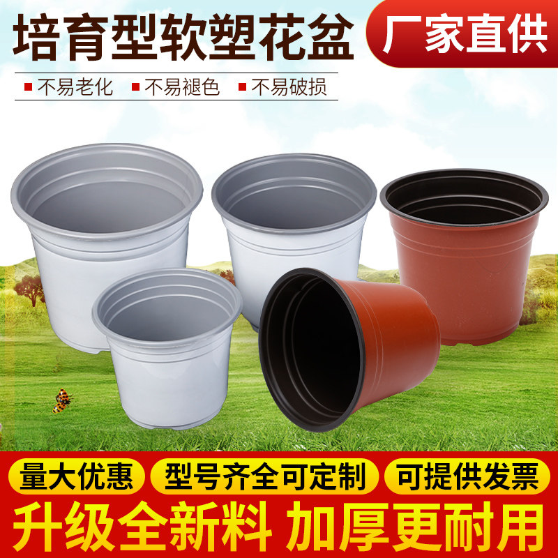 双色盆育苗盆简易一次性花盆塑料大号育苗杯多肉叶插盆加厚营养钵